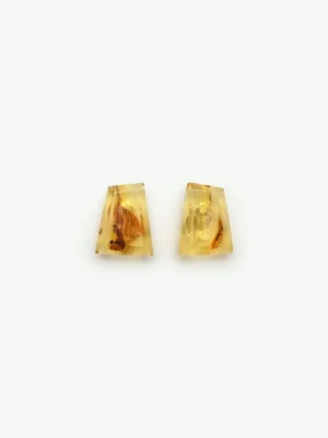 Monies Earrings: amber
