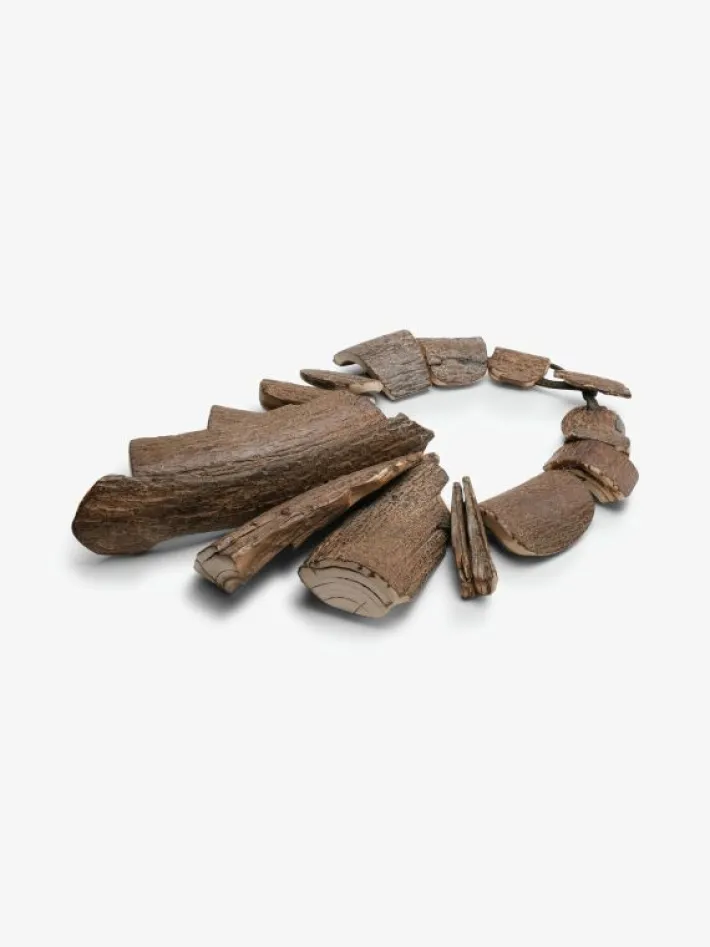 Monies Necklace: prehistoric mammoth