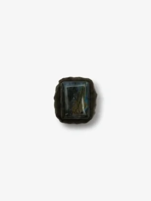 Monies Ring: bog oak, labradorite