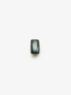 Monies Ring: labradorite, bog oak, leather